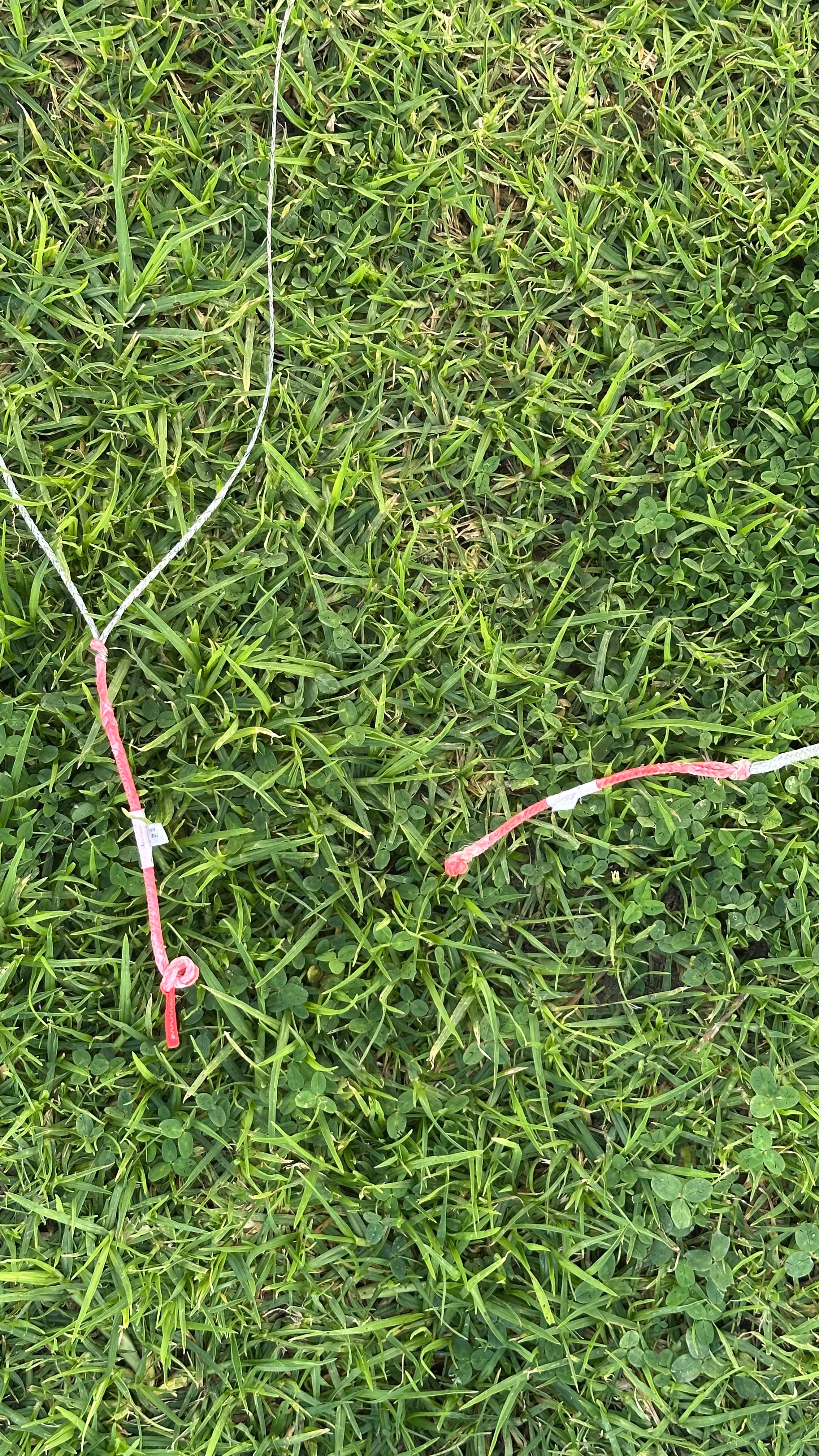 North ORBIT ULTRA 10m 2025 Segunda Mano