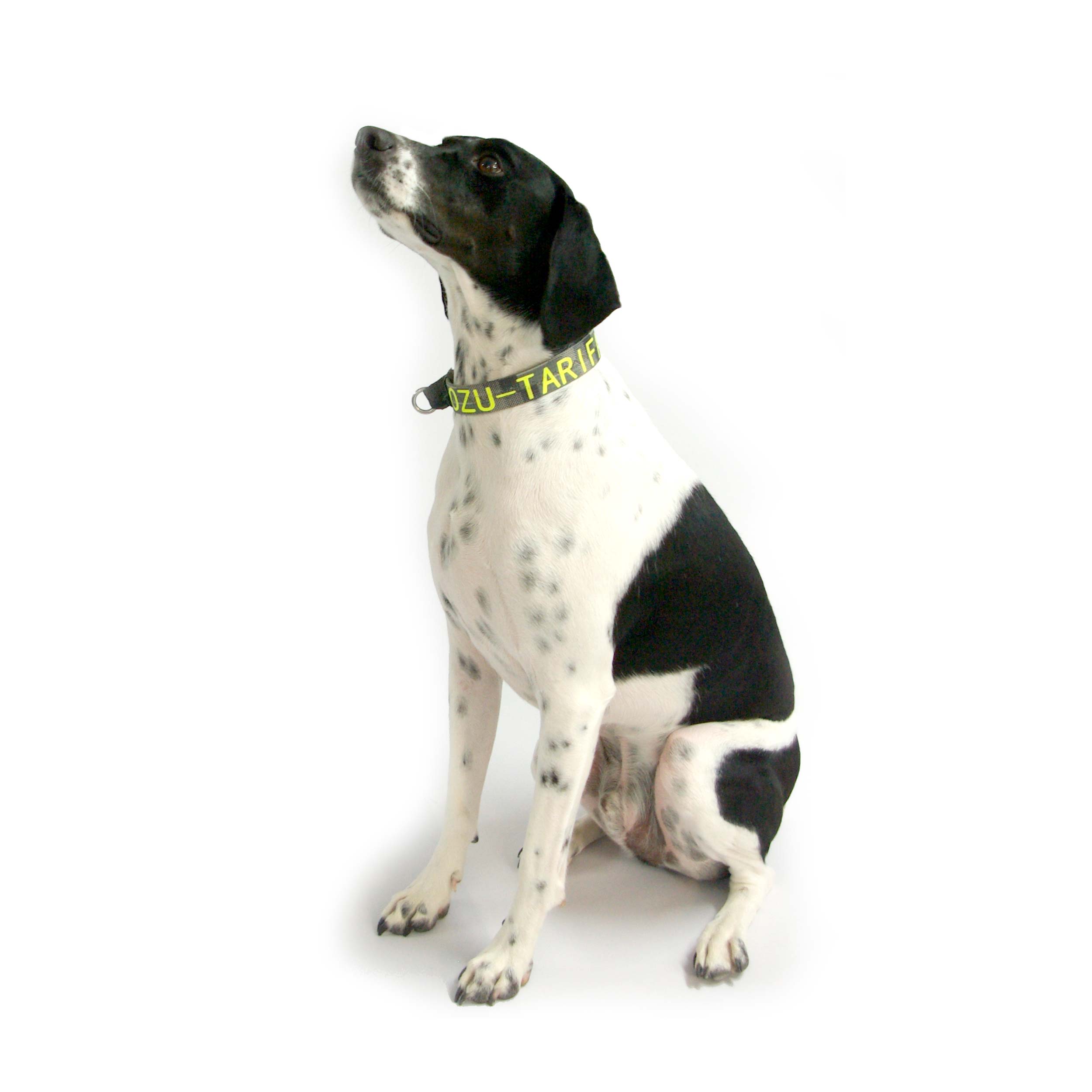 OZU No More Flea Dog Collar