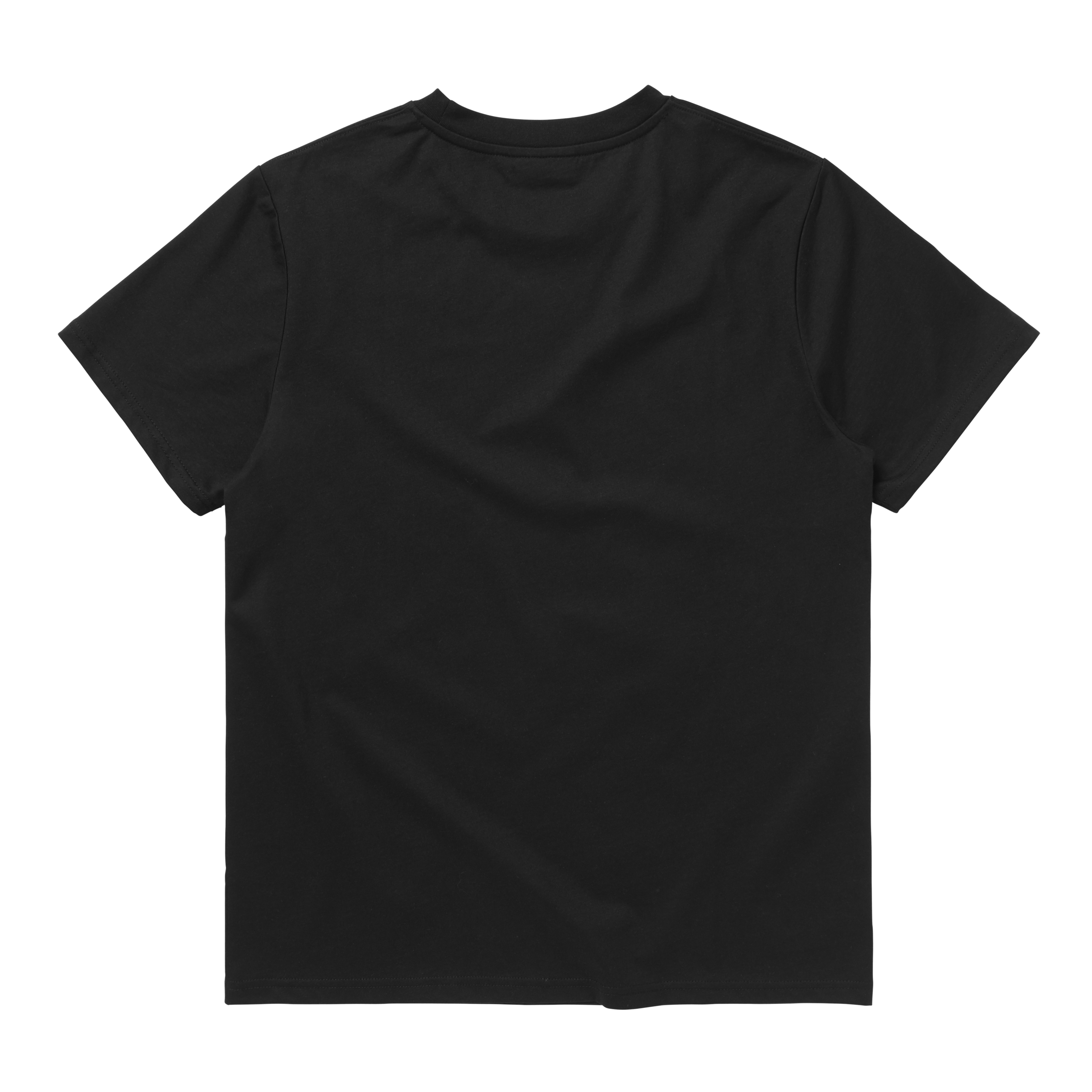 Mystic Icon Tee Men